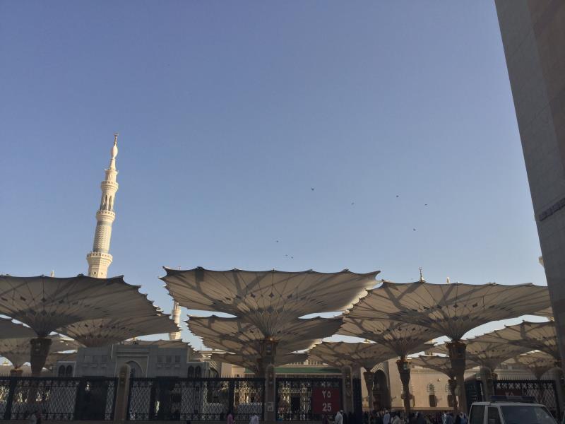 Golden Tulip Al-Zahabi Hotell Medina Eksteriør bilde